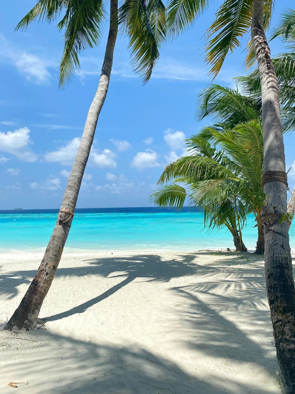 沙滩风景图片 🌊嗨!亲爱的朋友!