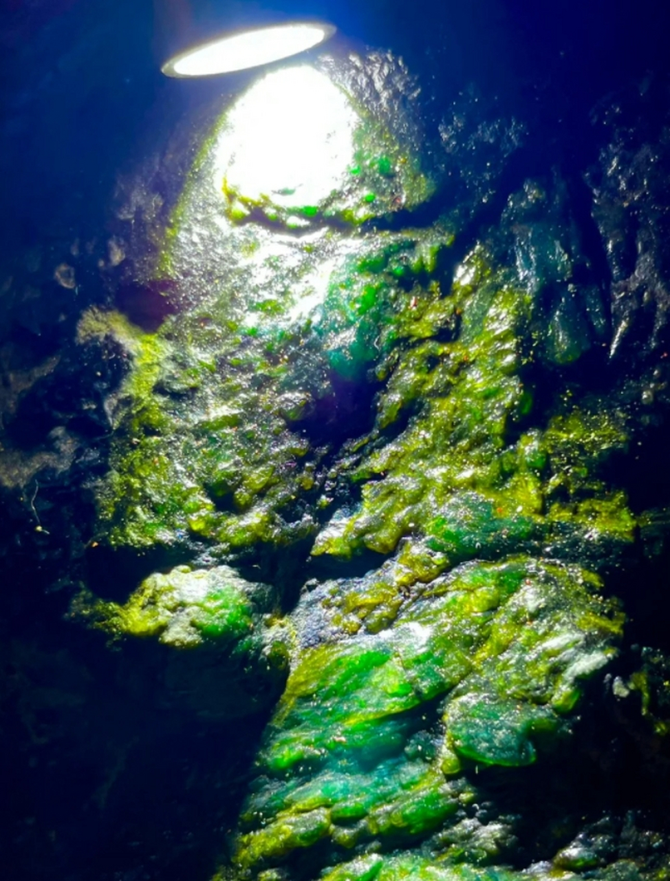 点击头像看直播# #翡翠原石# 翡翠原石的色彩繁多,从翠绿,深绿到穆烫