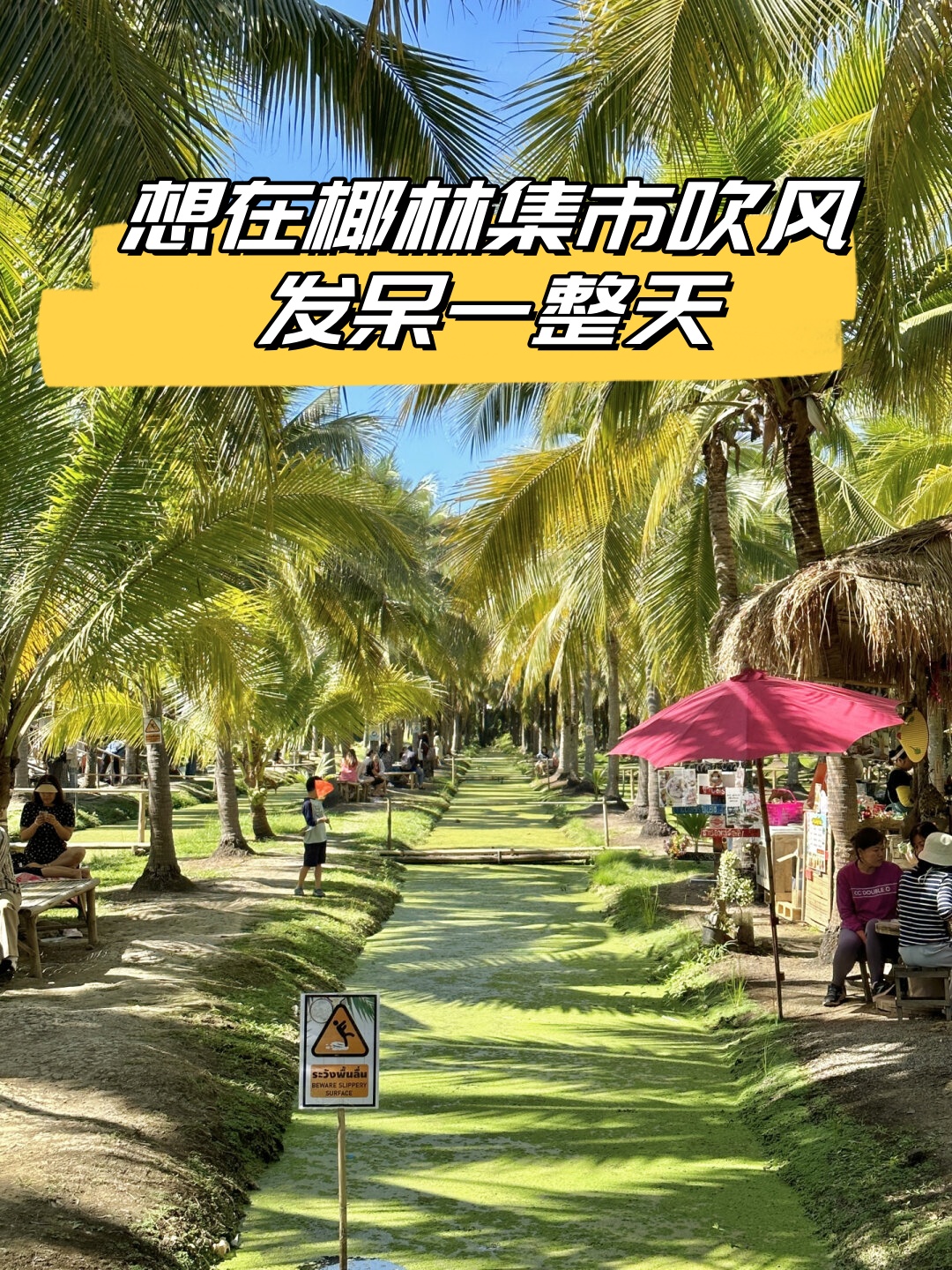 想在椰林集市吹风发呆一整天