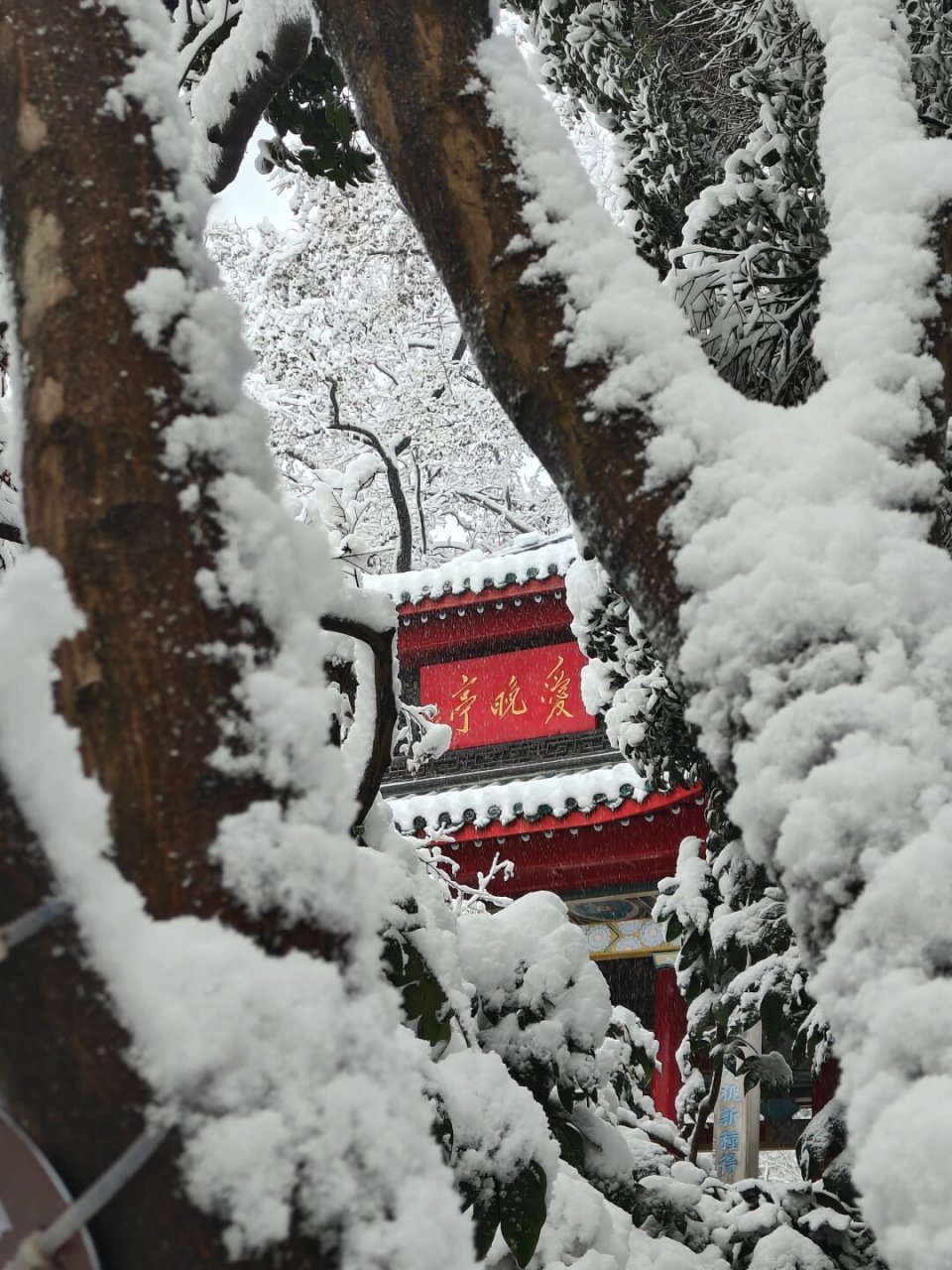 岳麓山雪景诗句图片