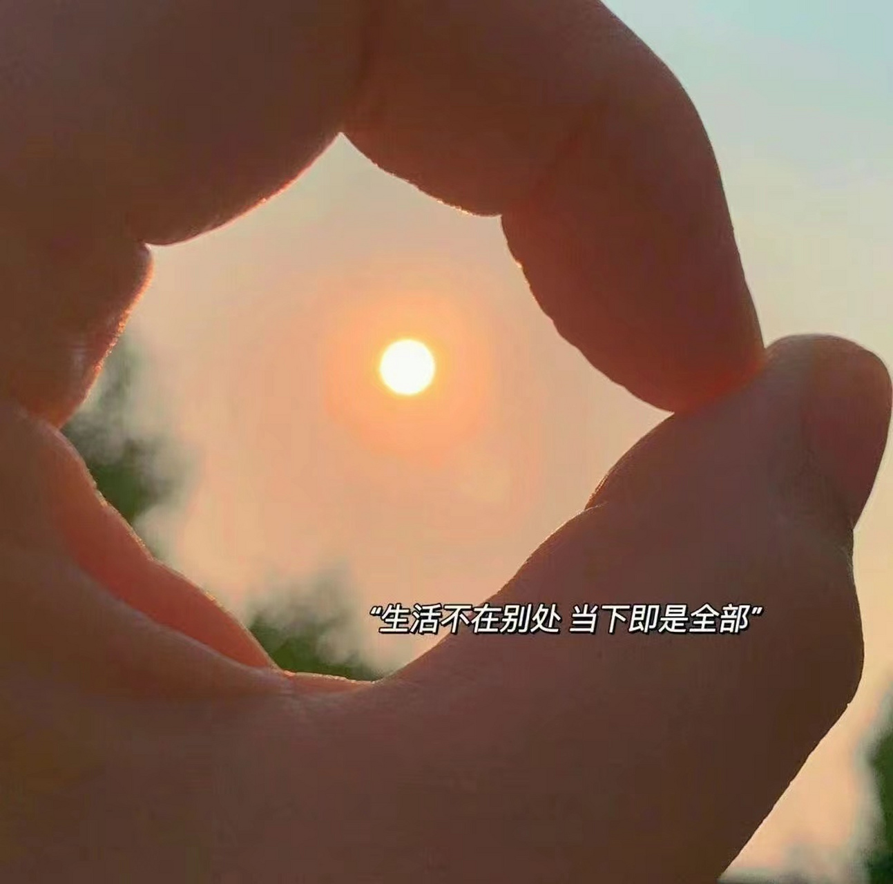 适合各种心情的配图  93愿:少焦虑 多睡觉 常开心 7004 文案