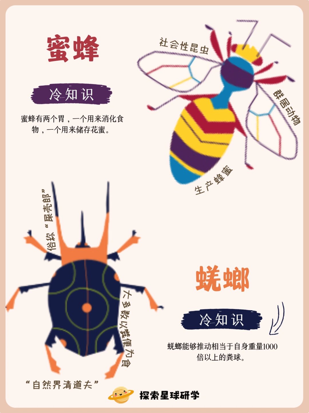 给孩子们的秋季昆虫图鉴 .@梓格老师来教你的动态