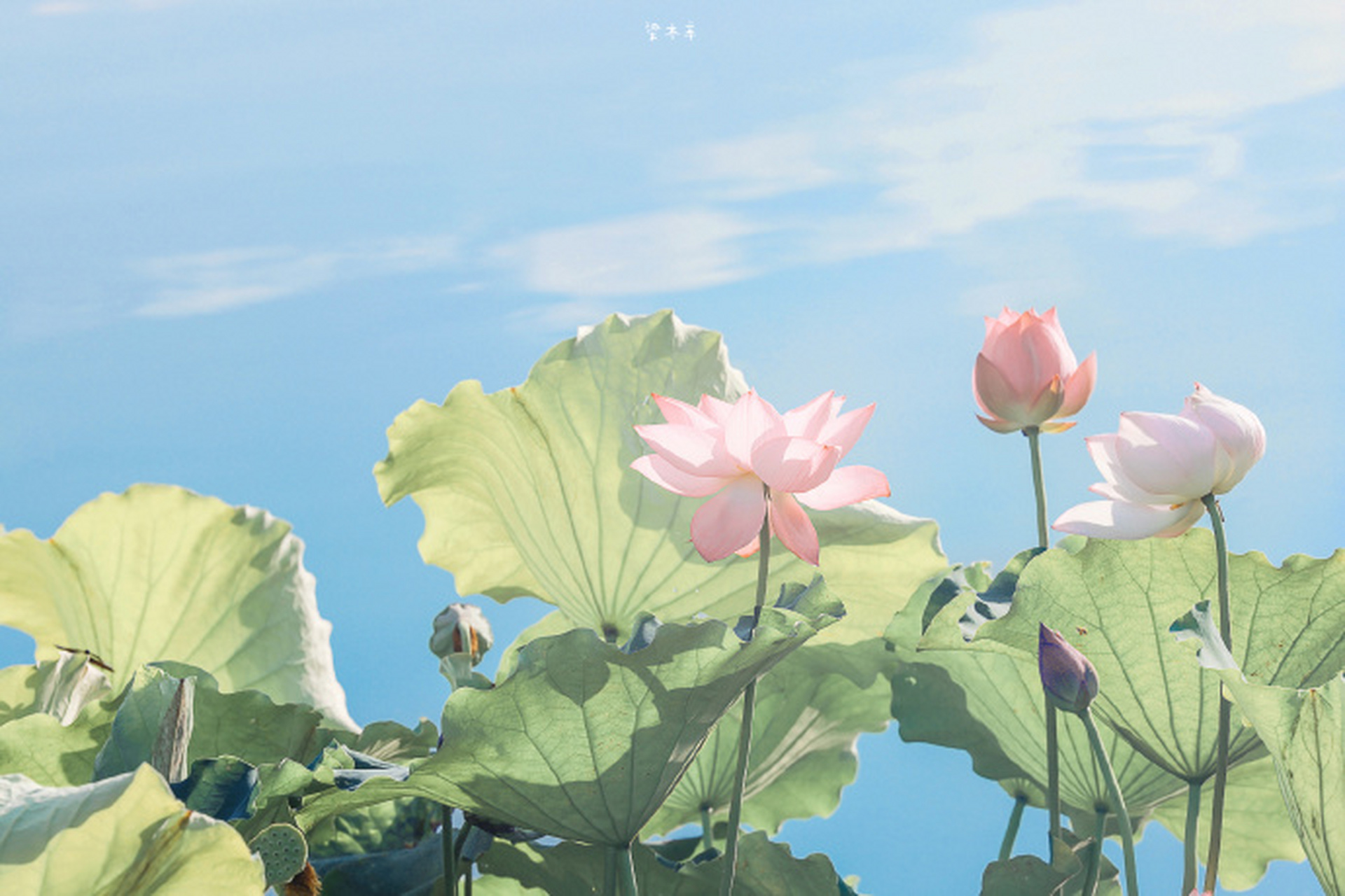 女人的正能量阳光网名~招财可爱好运05  1. 招财喵喵93 2.