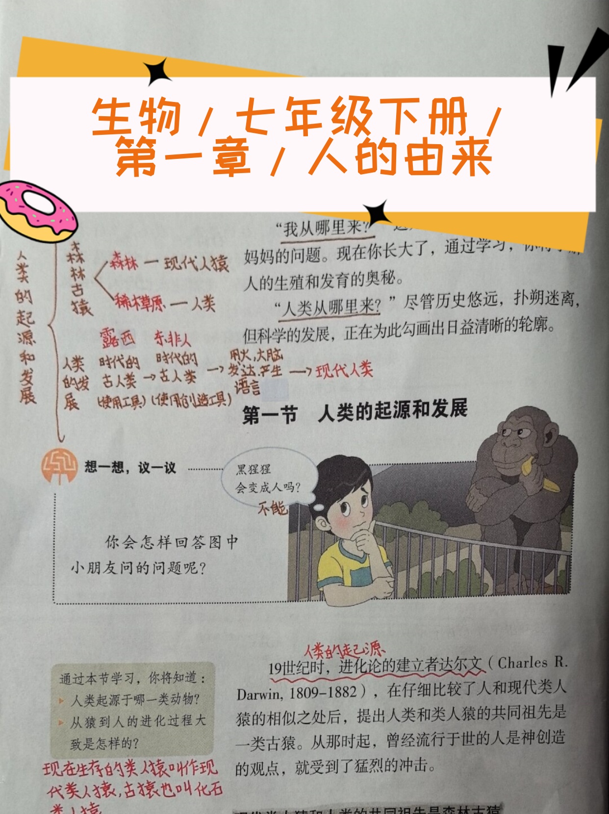 生物/七年级下册/第一章/人的由来