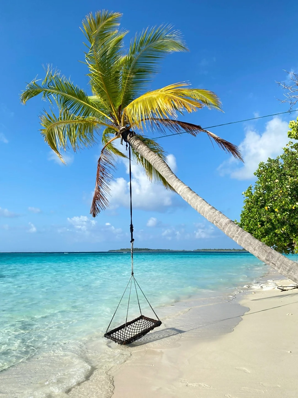 沙滩风景图片 🌊嗨!亲爱的朋友!