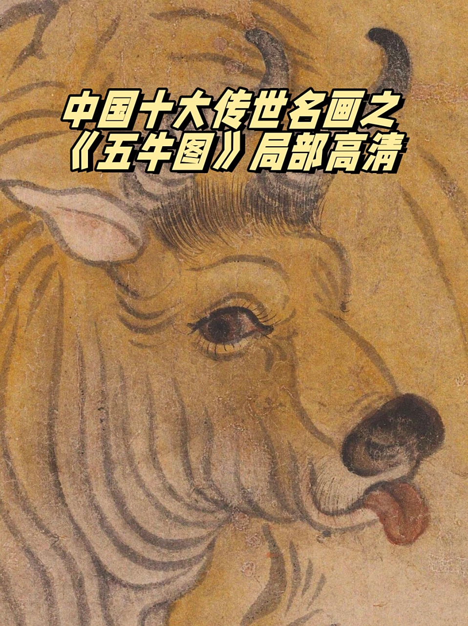 中国十大传世名画之《五牛图》局部高清