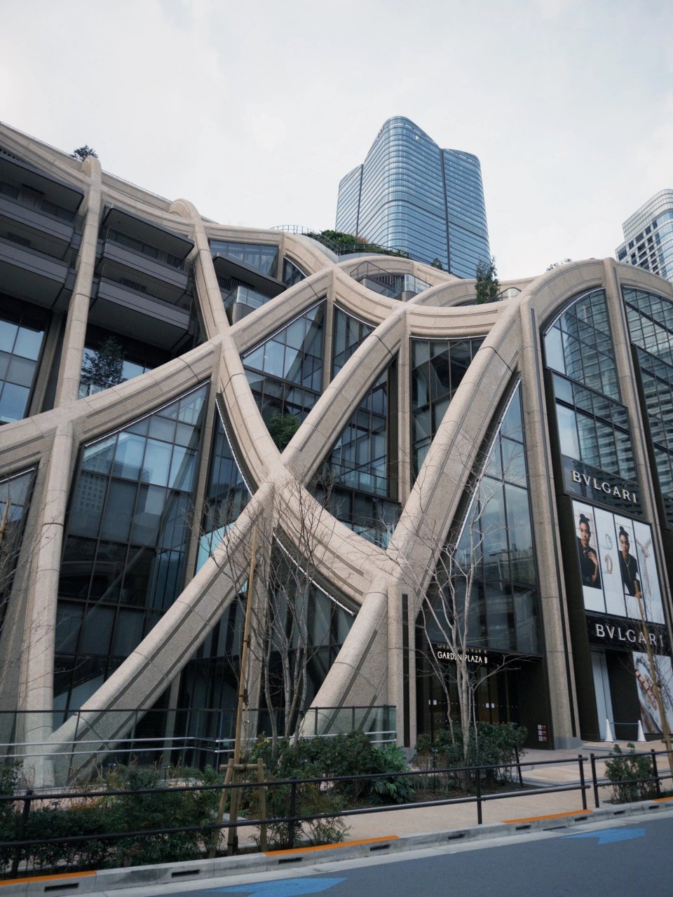 东京神谷町早樱速报  我是一个热爱樱花的人,每年都期待着春天的到来