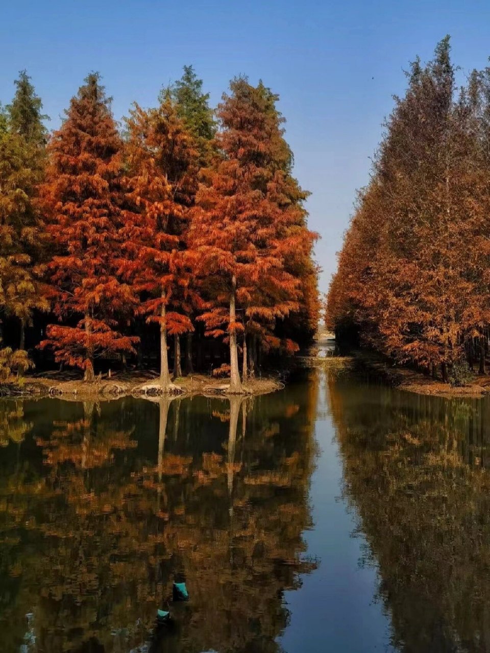 上海崇明岛 风景图片