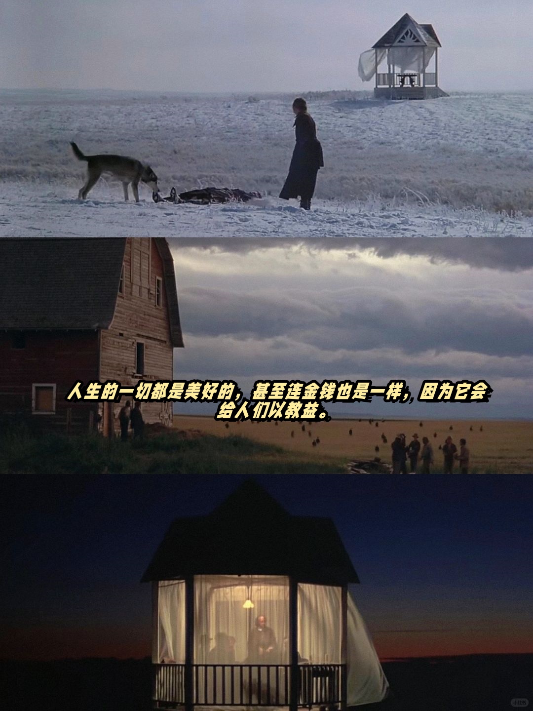 每次观看这部电影,都会被它那绝美的画面深深吸引,仿佛置身于一幅幅