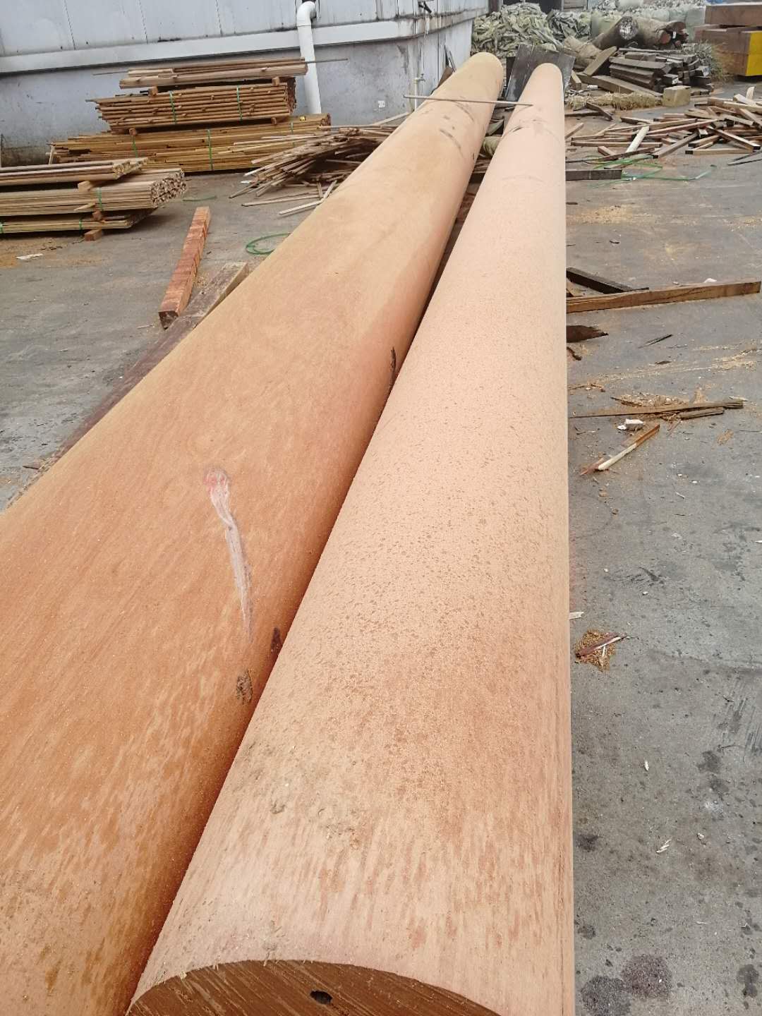 山樟木和香樟木的不同