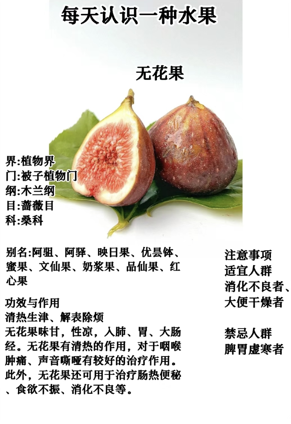 无花果几月份成熟