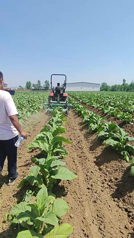 种烟叶新法告别手工培土轻松高效种植