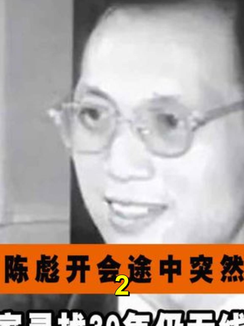 中国科学院院士陈彪失踪30年的神秘之谜2