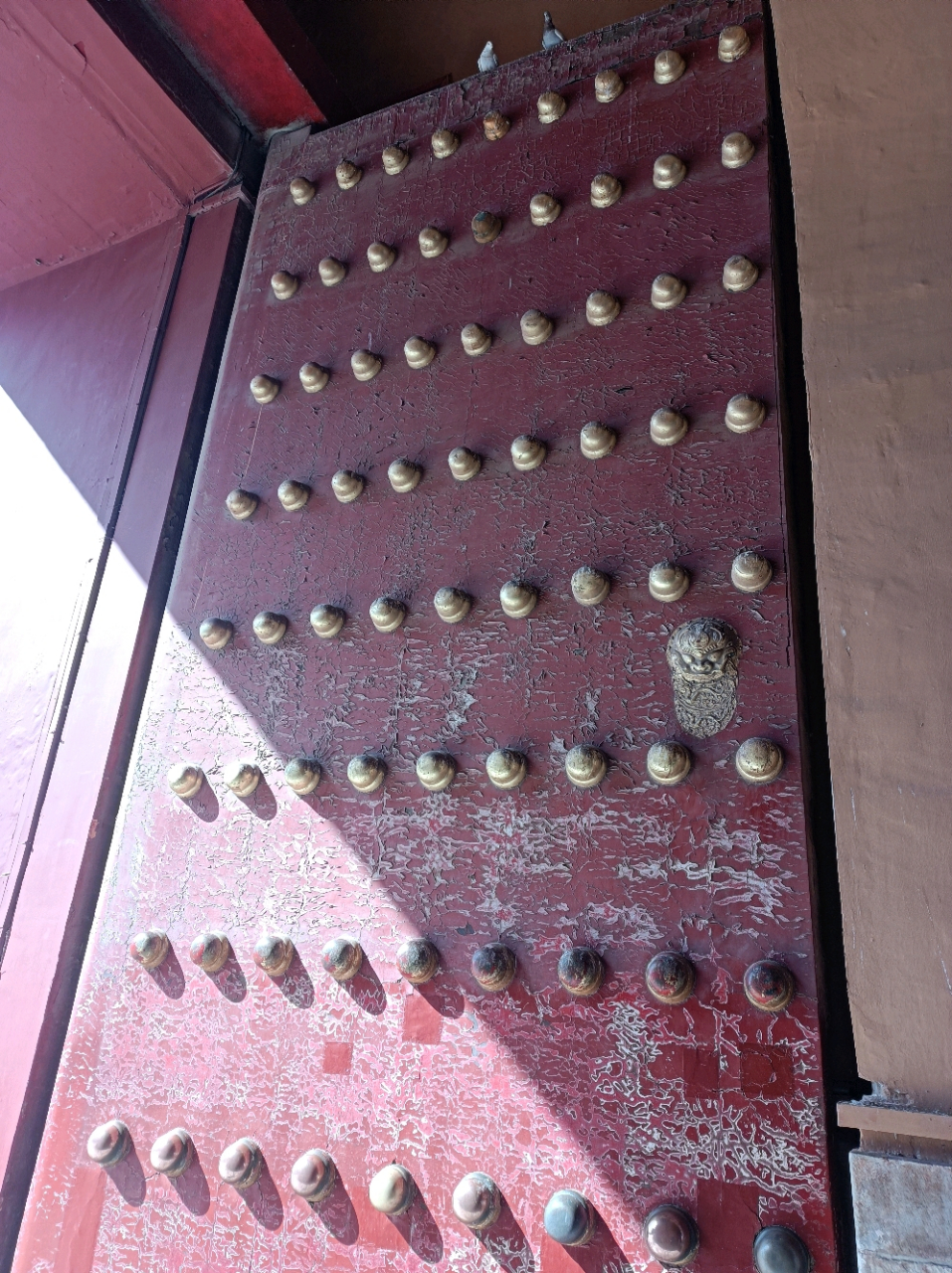 故宫上面为什么没有鸟屎 故宫上面为什么没有鸟屎