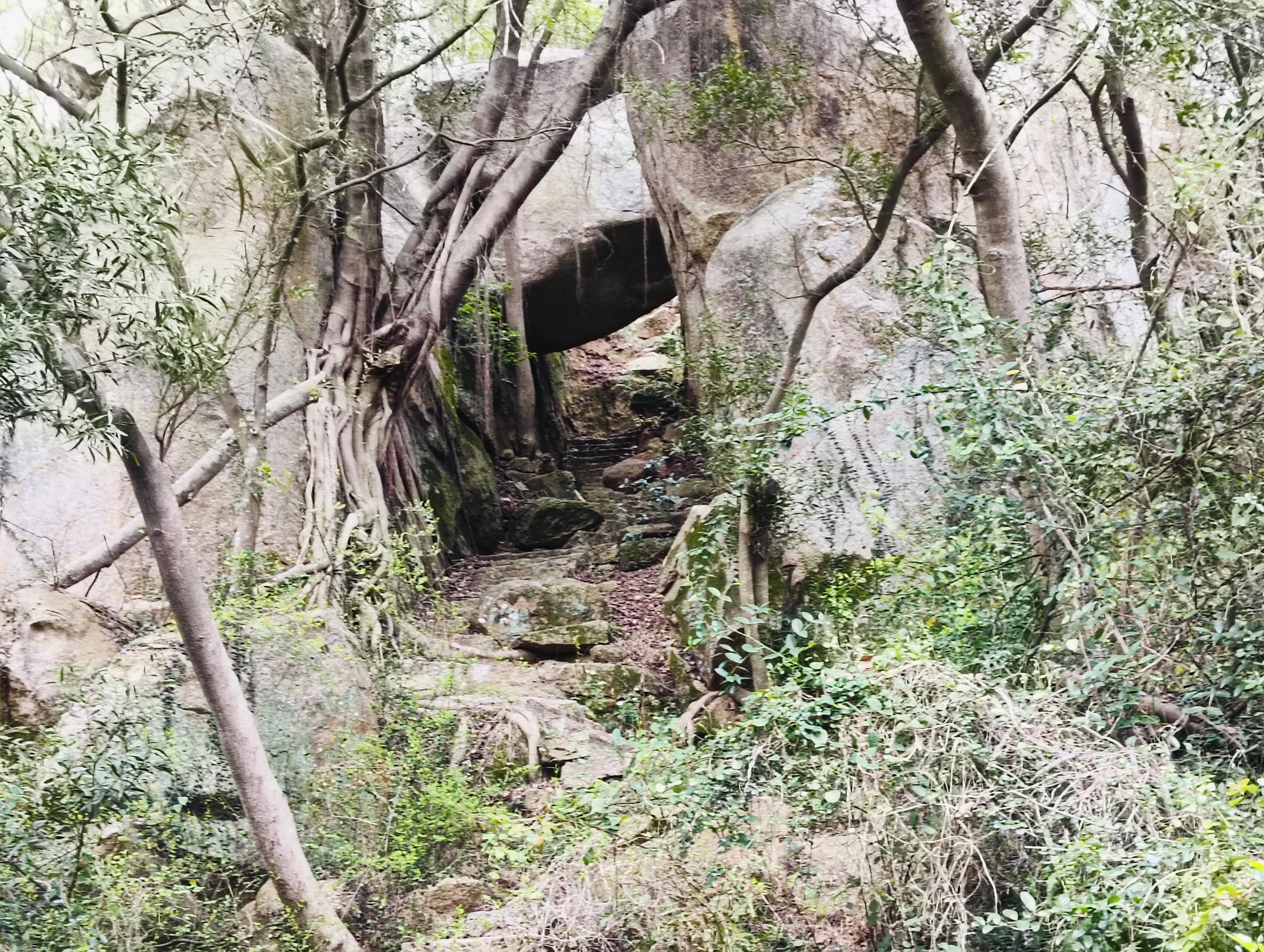 莆田市湄洲湾北岸开发区山亭镇东仙村紫霄洞风景区