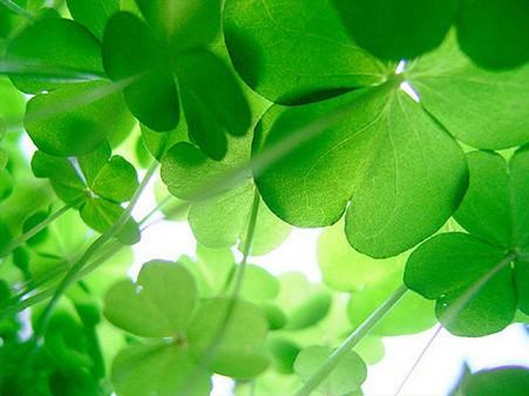 时来运转,见者好运连连,未来会越来越好!点赞必可实现!