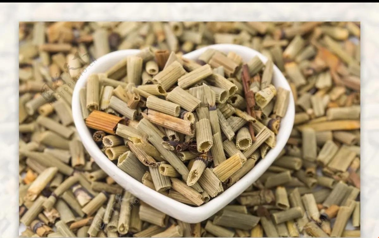 认识一味中药(木贼)