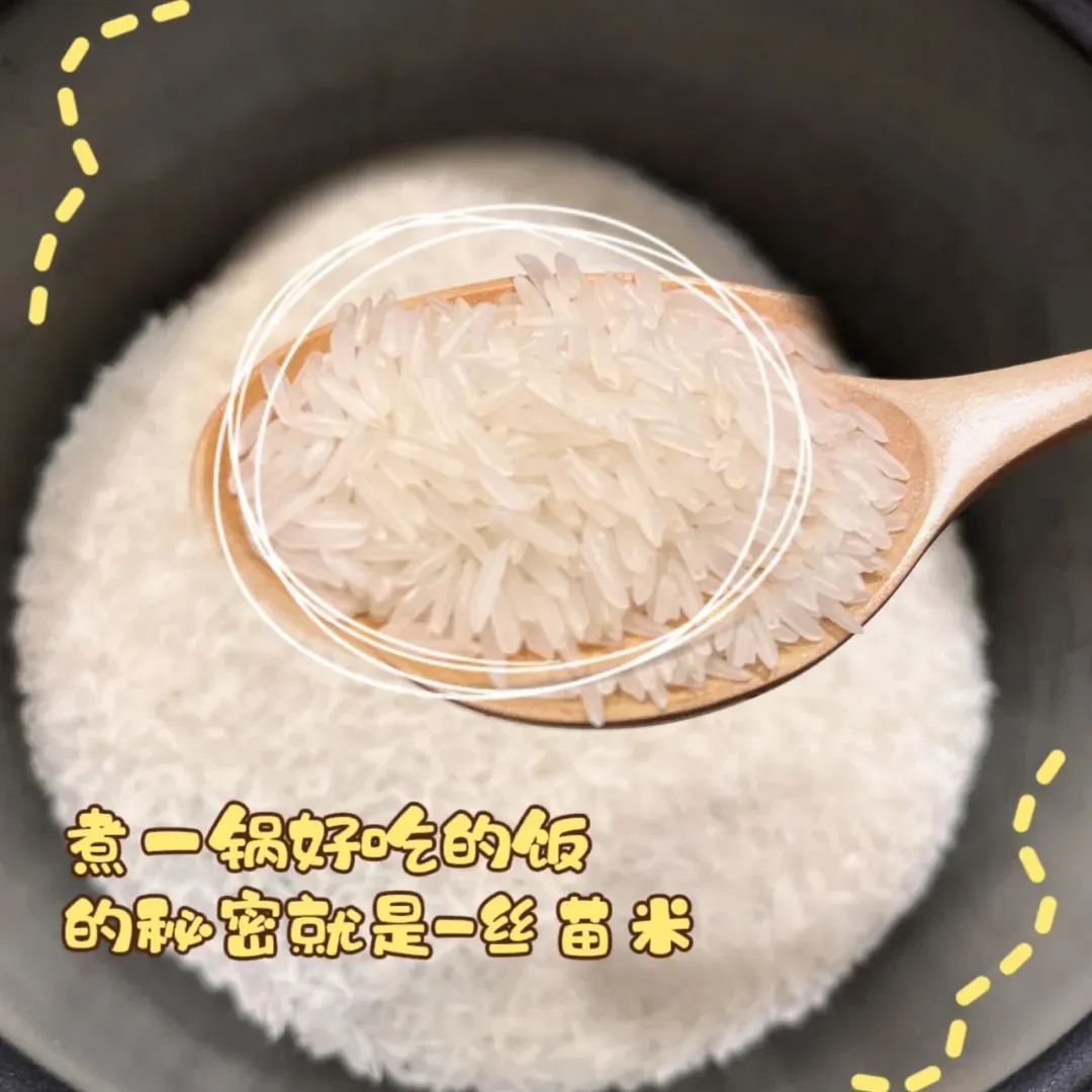 增城鲜丝苗米58元10斤全国发货,当天现碾鲜米,米香更浓郁!