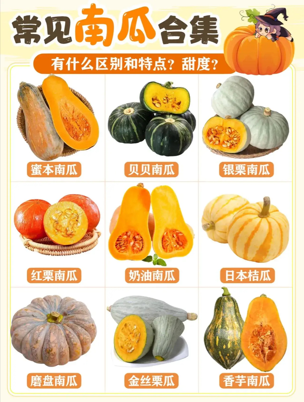 窝瓜和南瓜的区别南瓜窝瓜区别图片倭瓜图片和南瓜一样吗南瓜是什么瓜