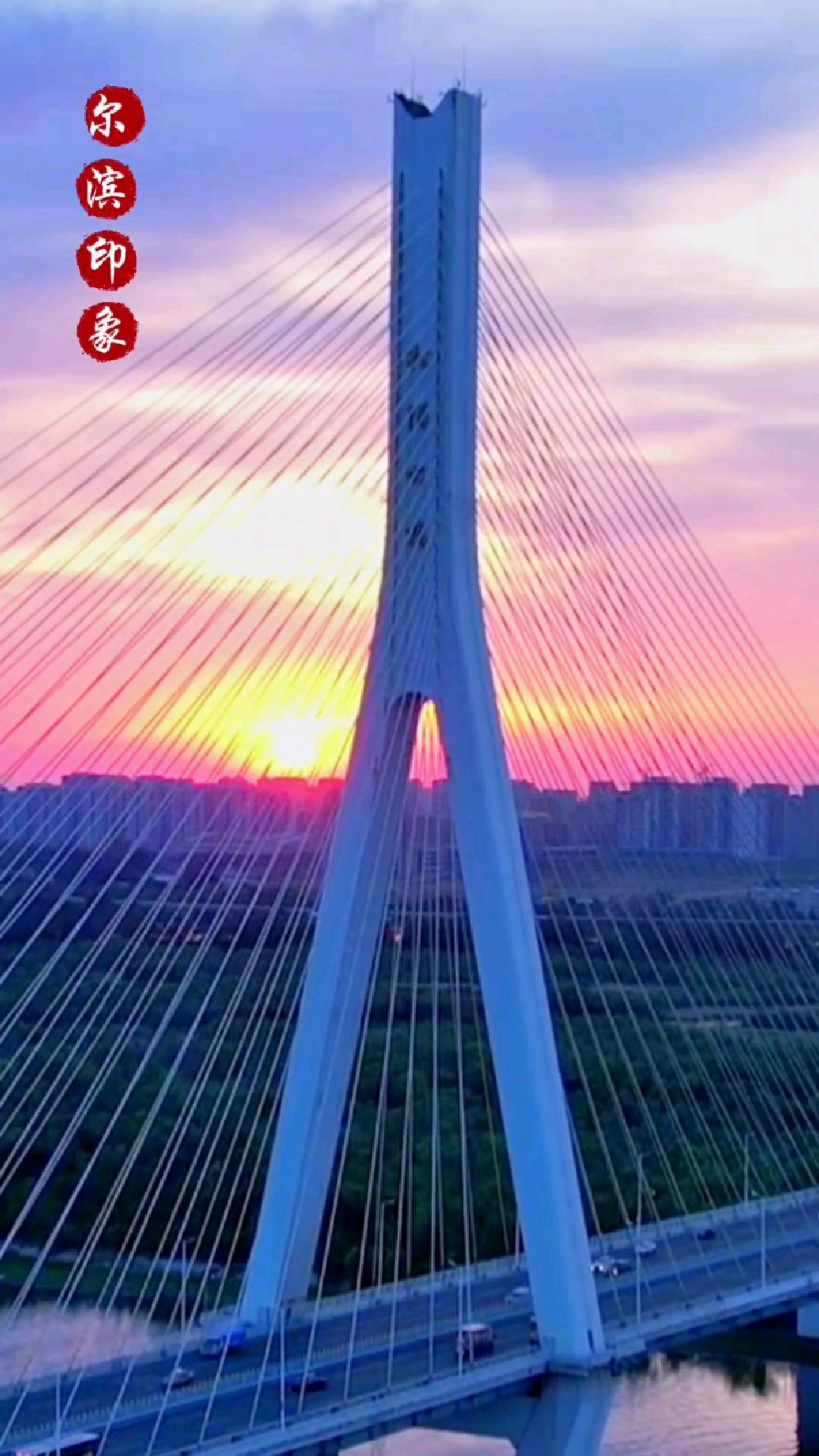 尔滨印象:松花江上松浦大桥