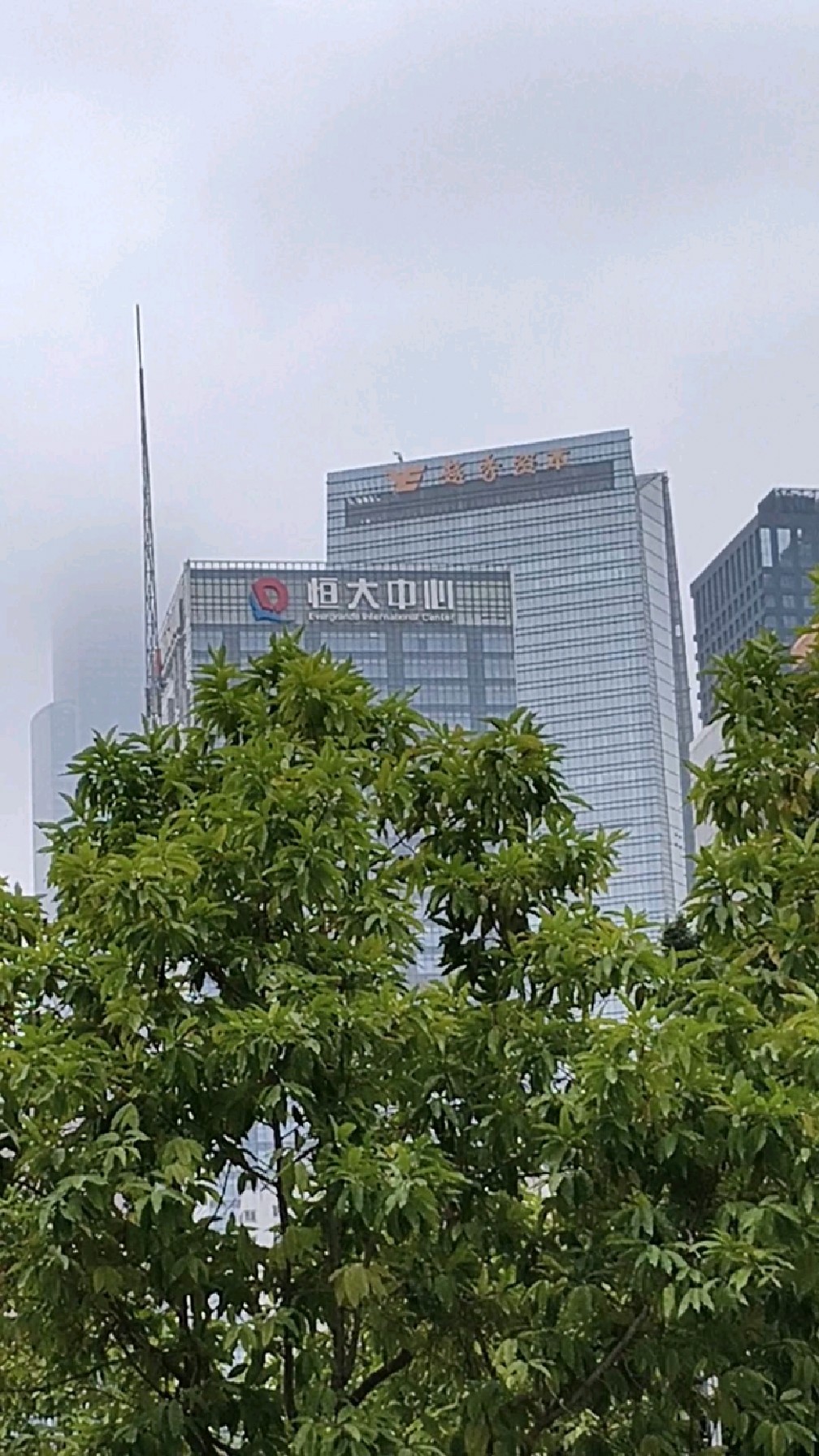 广州恒大=广州恒大亚冠成绩