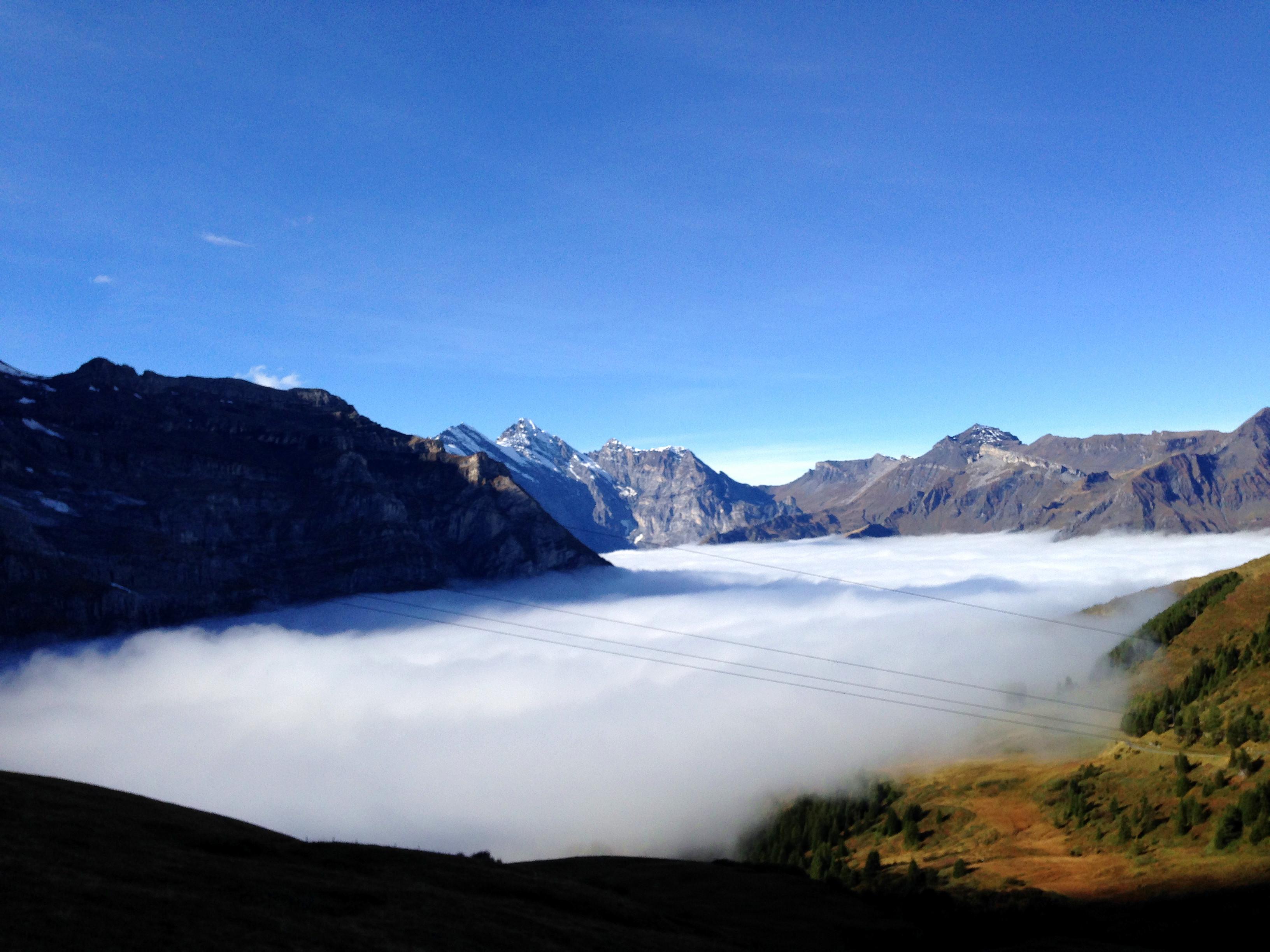 集池库:小红书时代的真实表达与精神自由插图1 集池库:小红书时代的真实表达与精神自由插图1