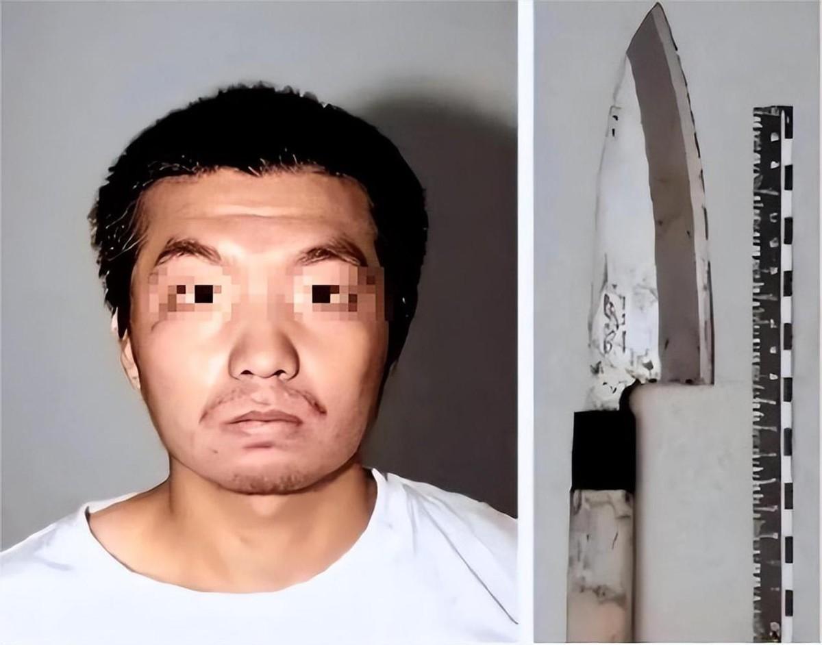 2008年杨佳连环杀人案:因受羞辱而引发的惨剧,造成6名警察牺牲
