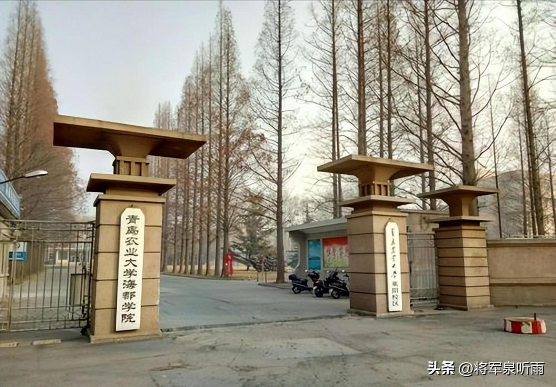 莱阳农学院是农业高等院校的佼佼者,1958年即开设本科教育.