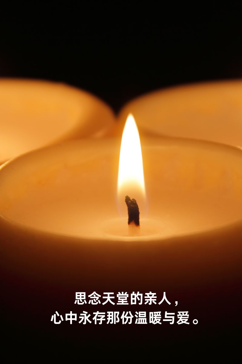亲人虽已离去,但他们的爱如白鸽般纯洁,永驻我心