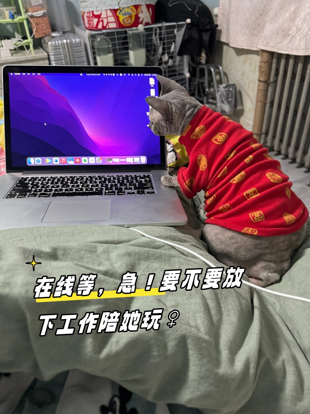 要不要放下工作陪她玩♀  在线等,急! 要不要放下手头的工作陪她玩呀?