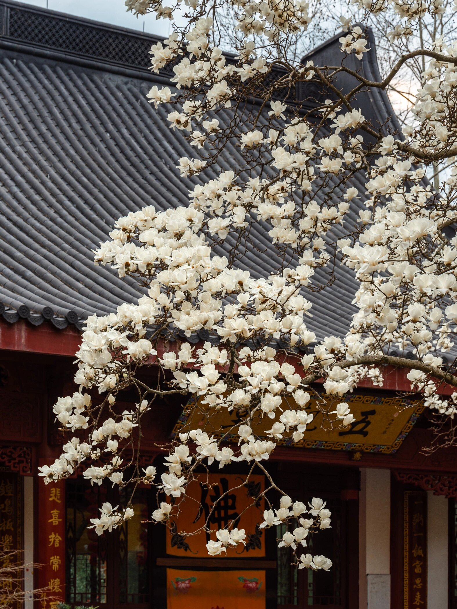 法喜寺这座隐藏在杭州天竺山中的寺庙是三天竺