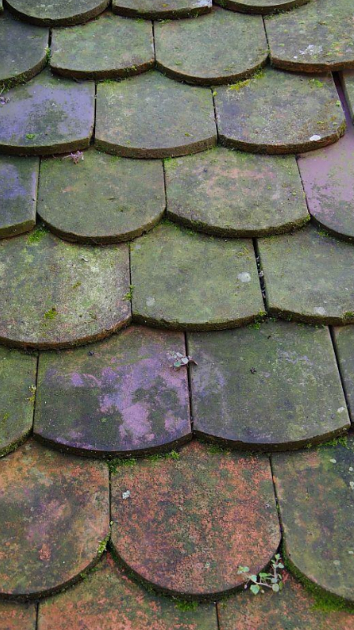 瓦的图片  过年的时候,回了一趟老家,看着都市里没有的蓝天白云,青砖