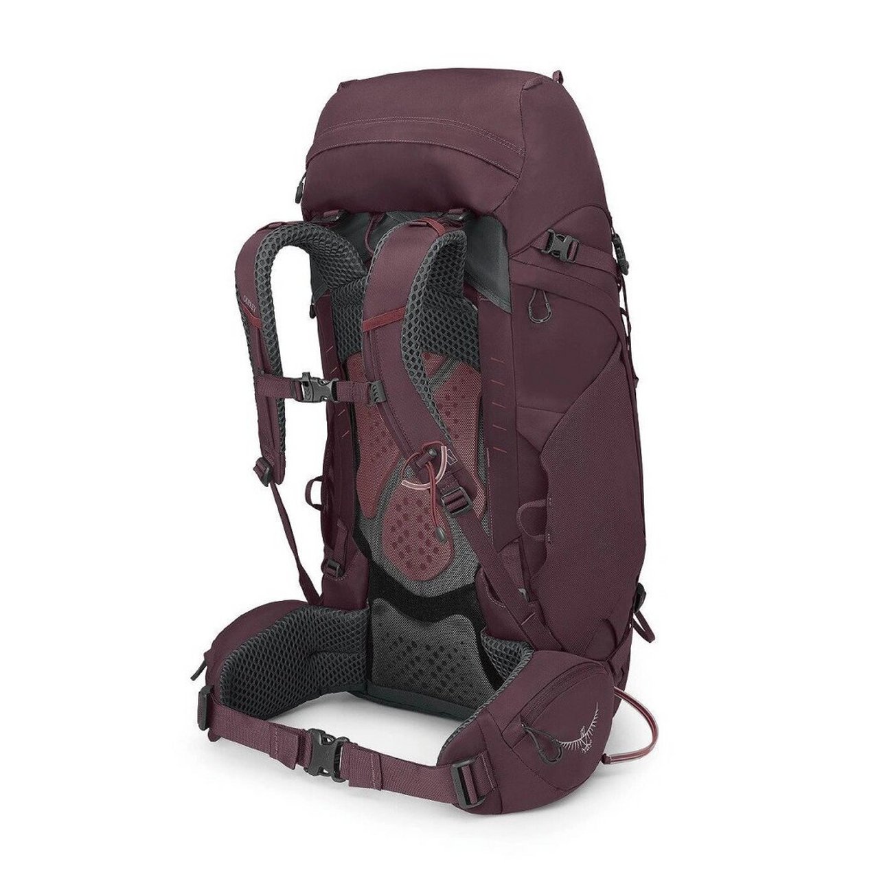 鹞鹰戶外登山背包  94鹞鹰户外登山背包:你的冒险伙伴!