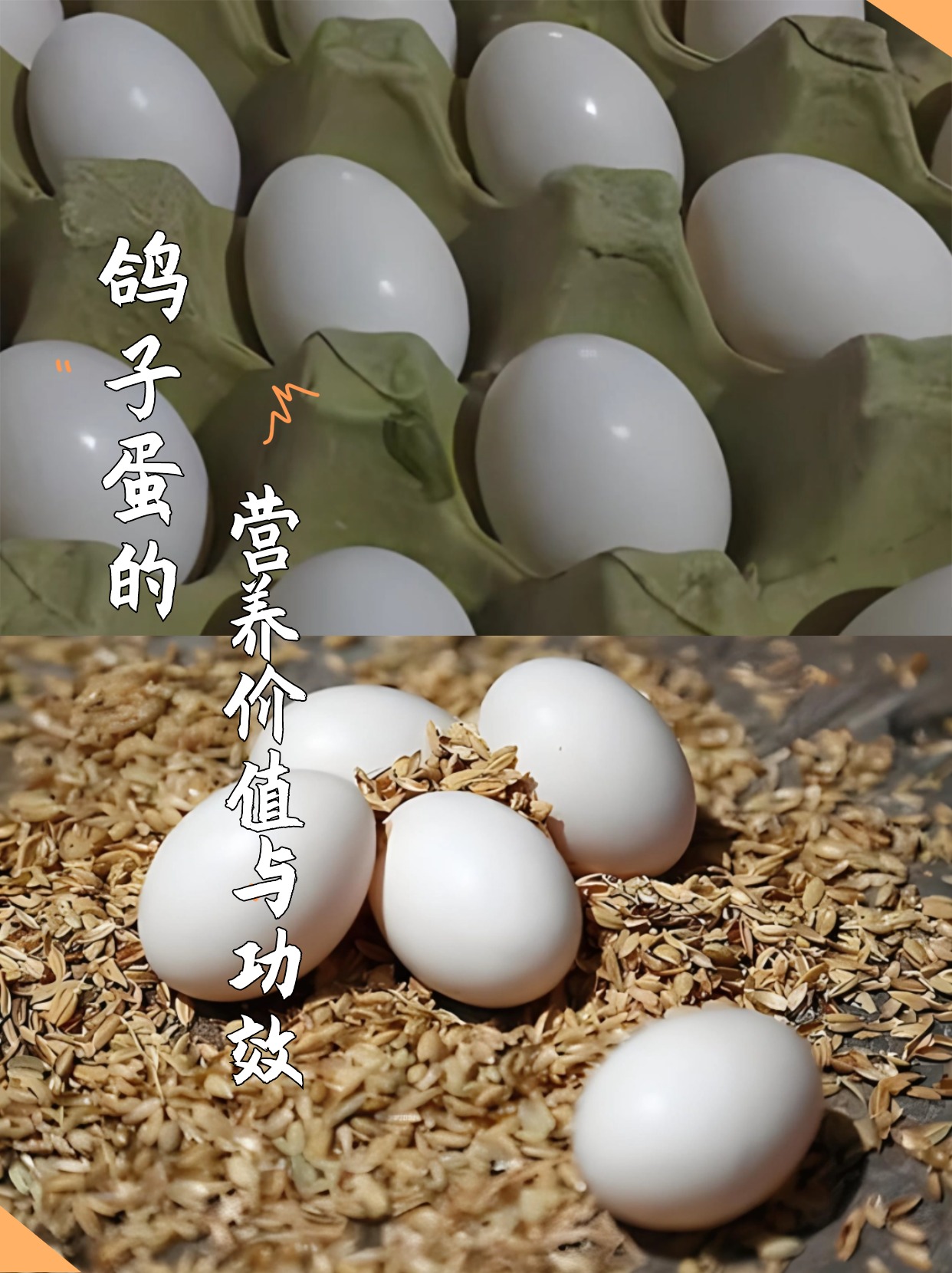 鸽子蛋的营养价值及功效 每天.@每日健康记的动态