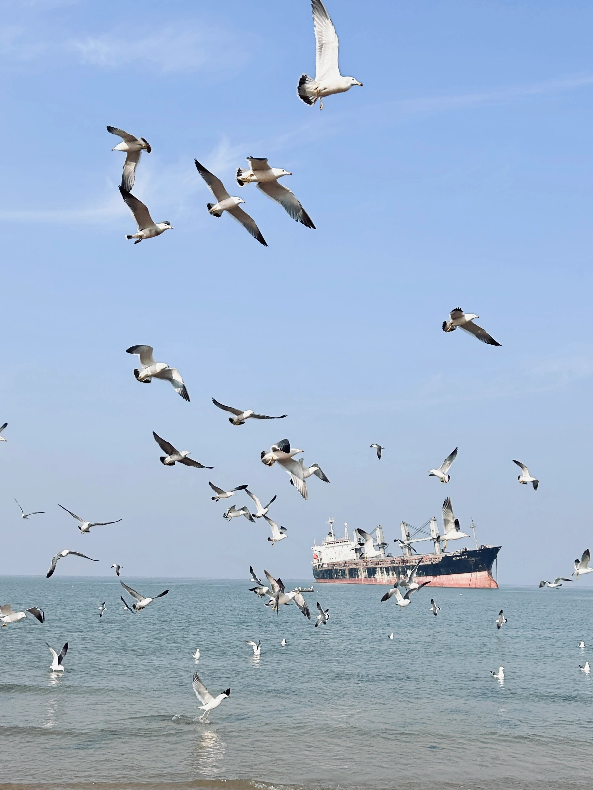 威海之旅:探索自然之美