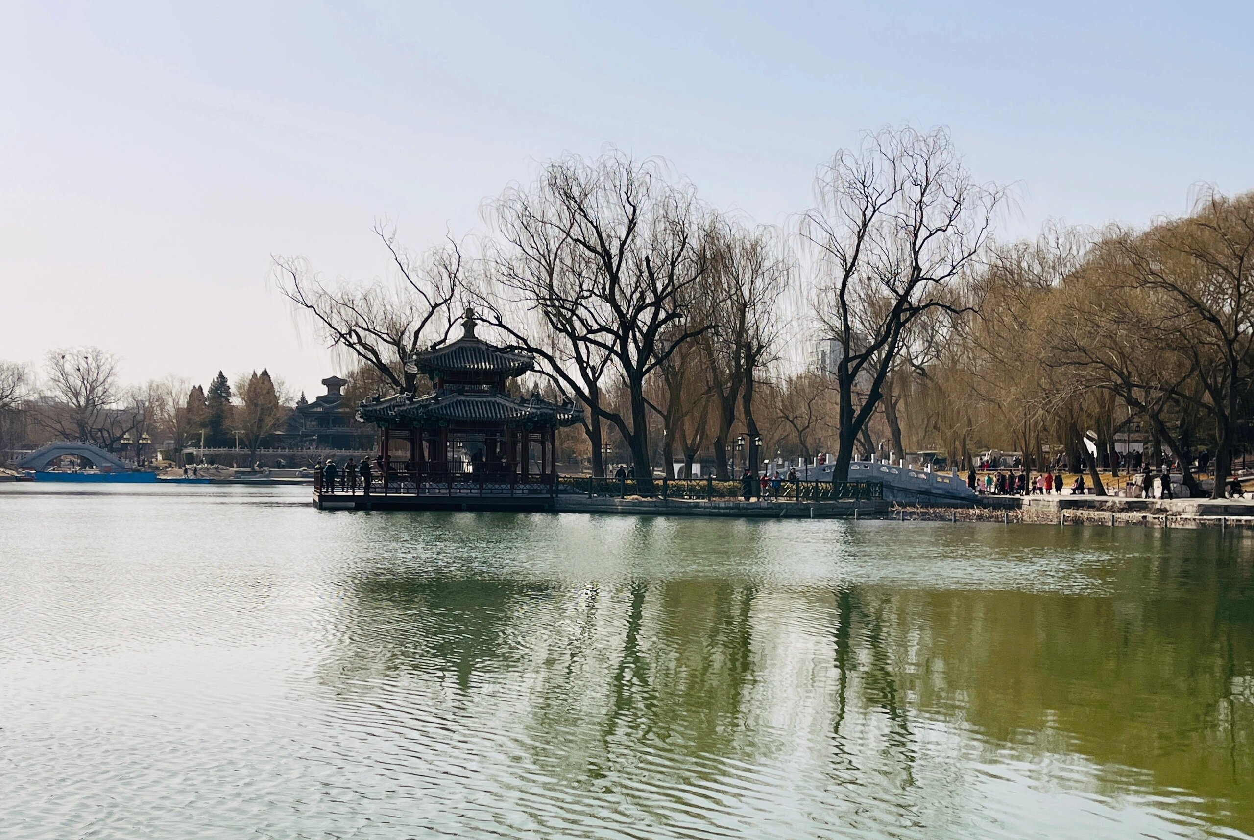 湖心亭春晓  周末,我来到了陶然亭公园,探寻春天的足迹.