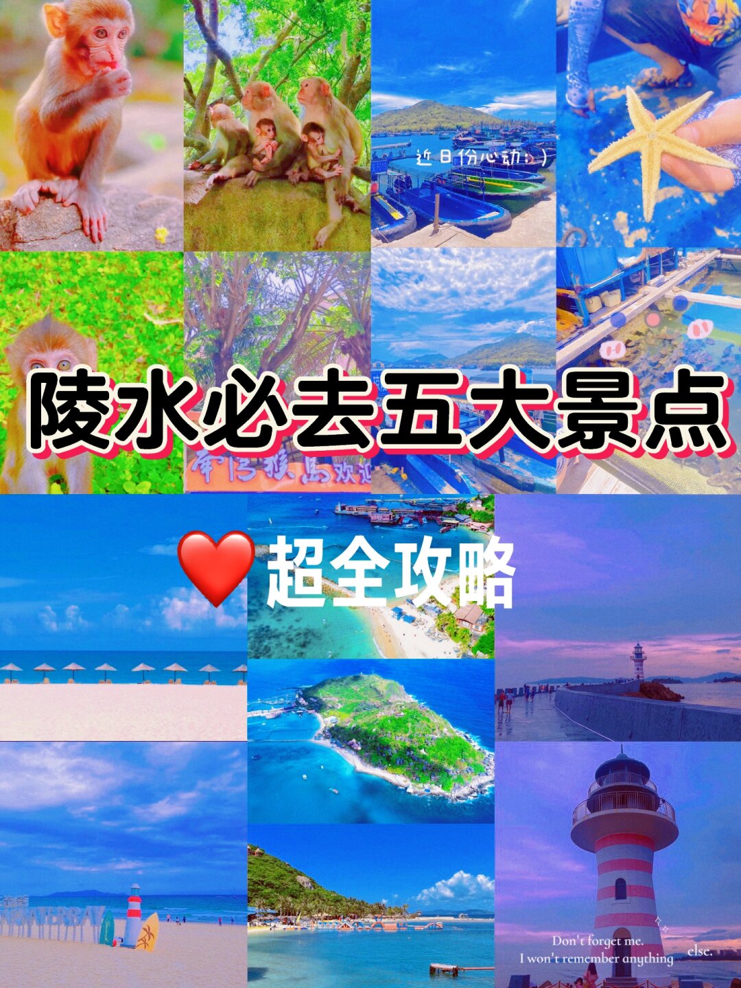【南湾猴岛】岛上生活着两千多只猕猴,是热带岛屿猕猴自