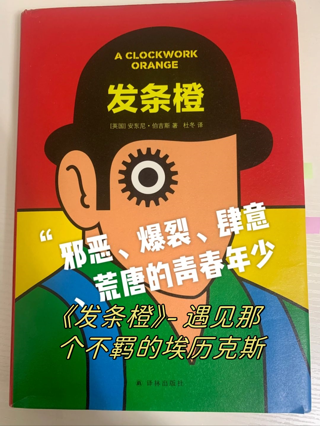 遇见那个不羁的埃历克斯