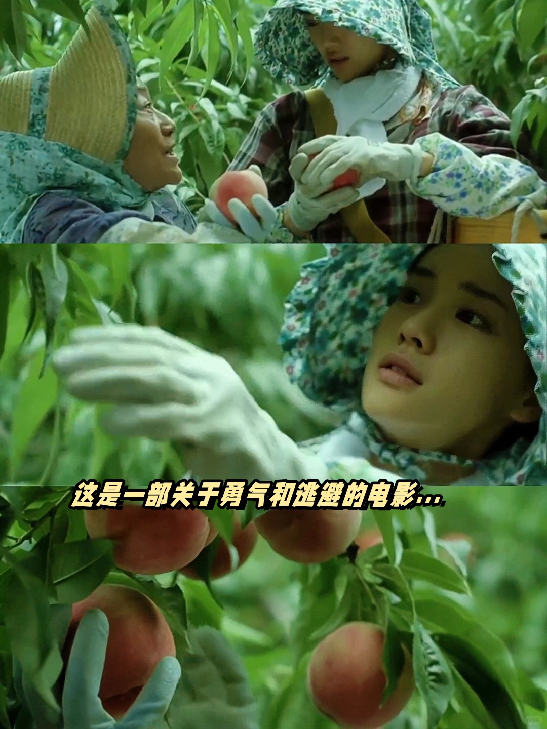 这部电影真的太治愈了,简直是独居生活的完美写照!
