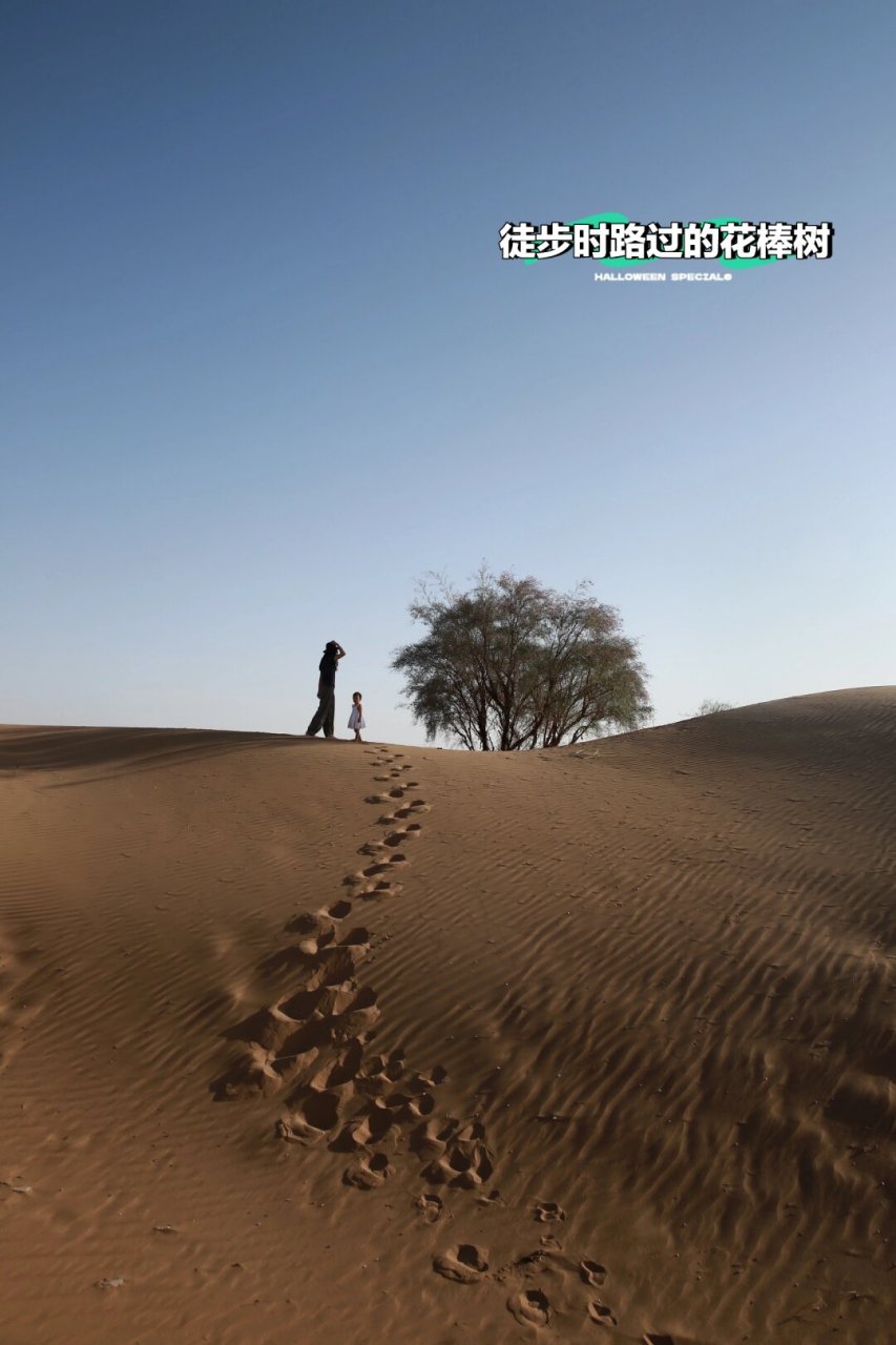 宁夏中卫腾格里沙漠  9815八月份,我踏进了中卫腾格里沙漠,那两晚