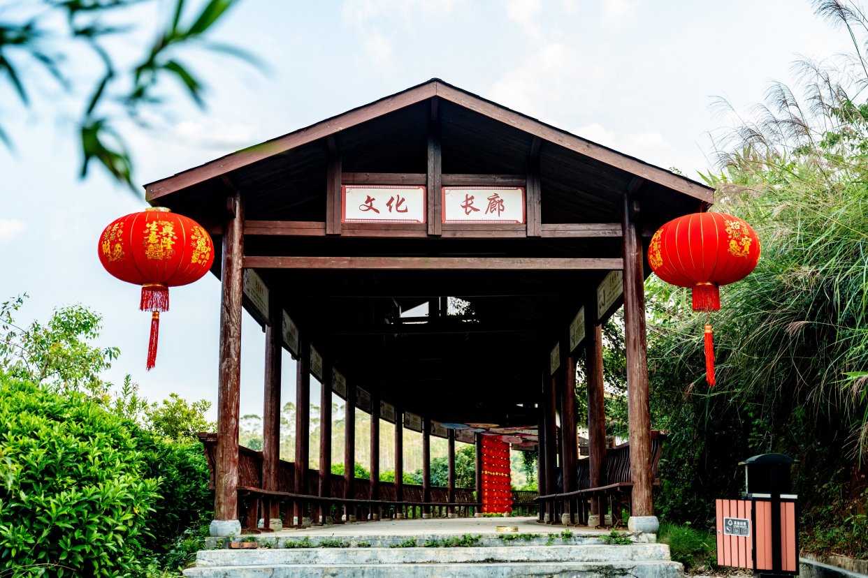 浦北越州寿仙湖:寻找心灵的绿洲