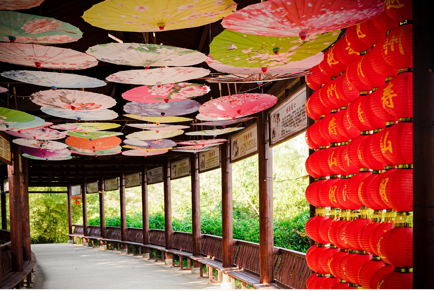 浦北越州寿仙湖:寻找心灵的绿洲