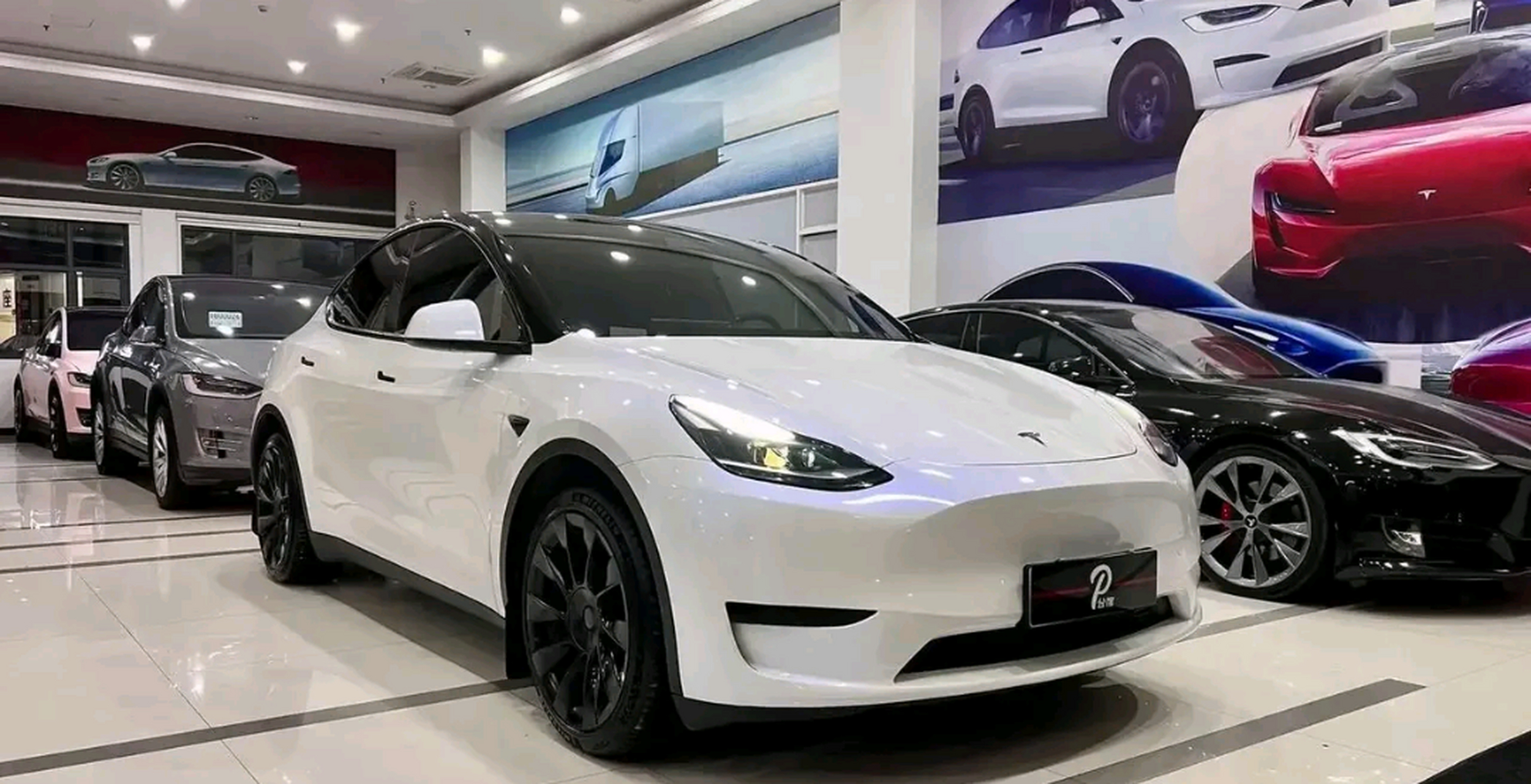 网友:是特撕拉车标.