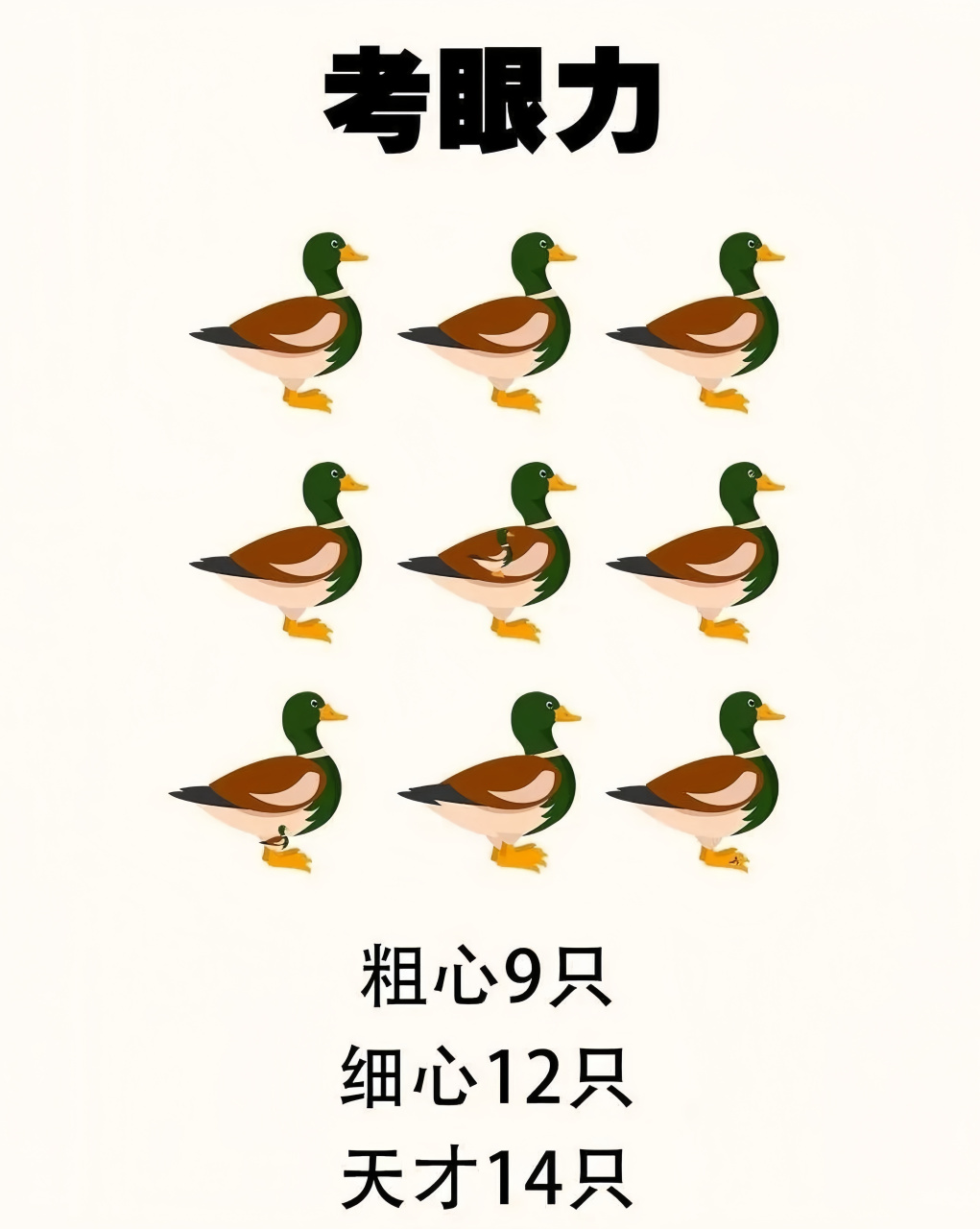 考眼力来了,一起来看看你能找到几只可爱的小鸭子?