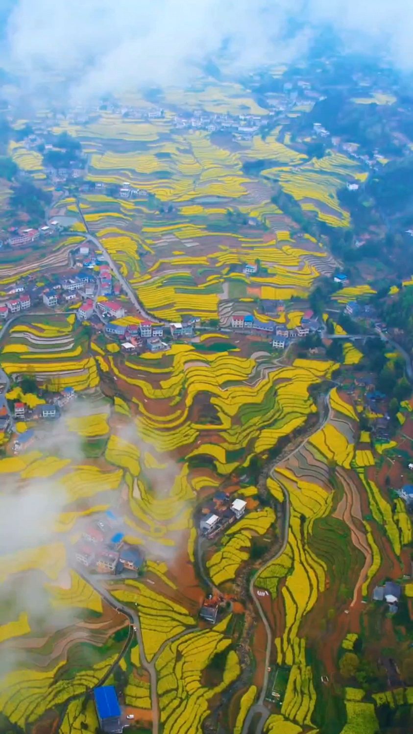 油菜花盛开的季节,快去打卡陕西安康市汉阴县漩涡镇的凤堰古梯田-度小