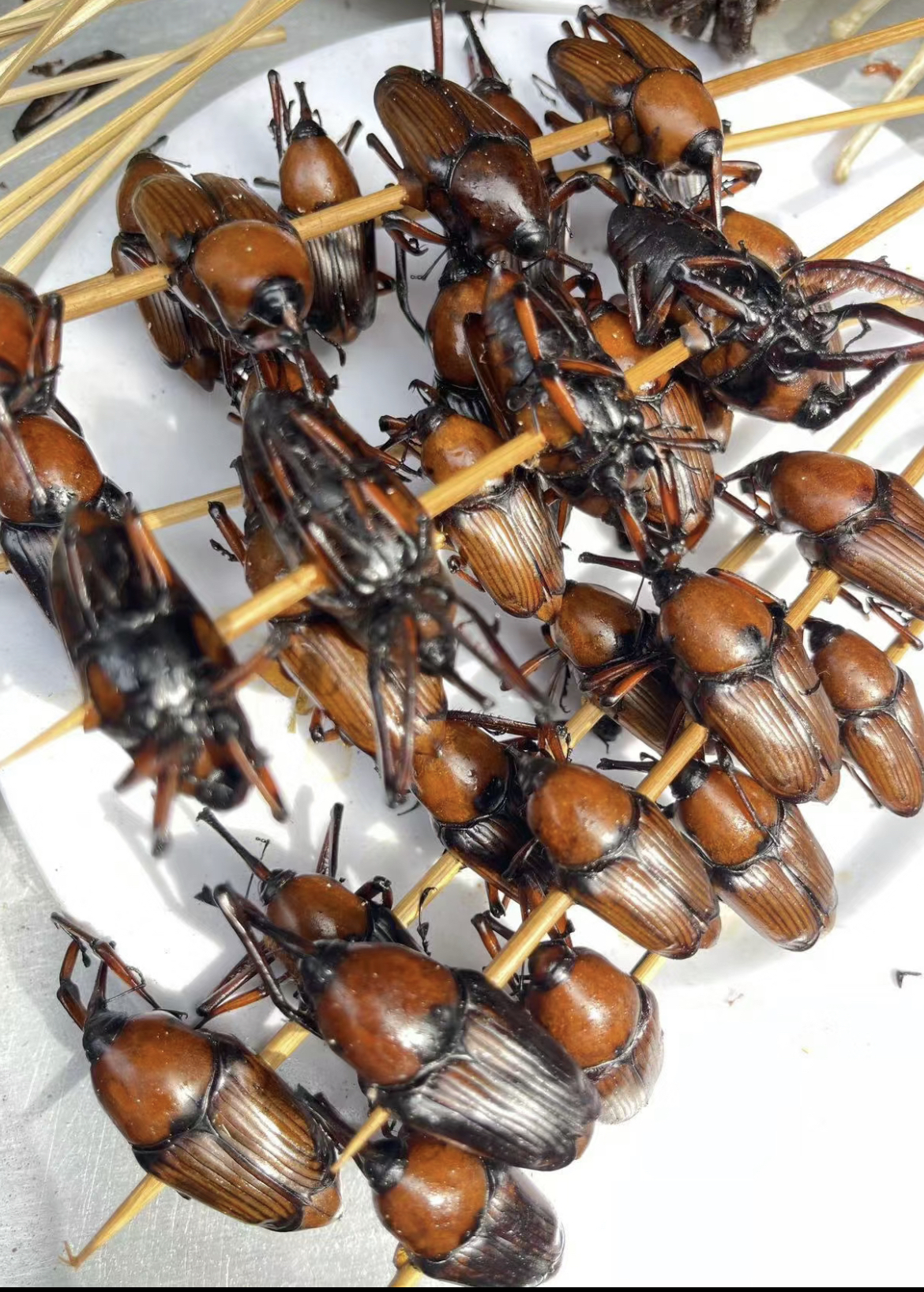 《云南虫宴:独特的美食体验》