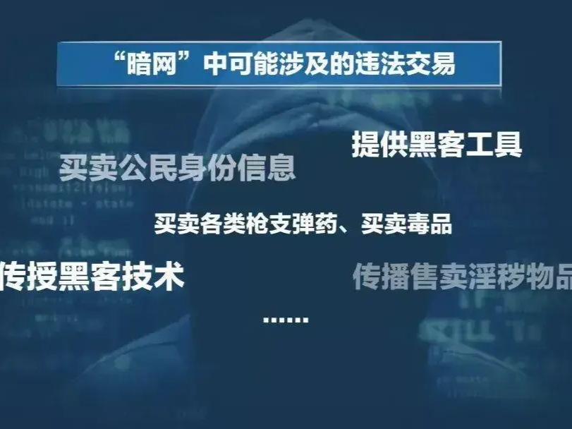 手机号背后的信息风暴:揭秘中国式暗网社工库的惊人能力