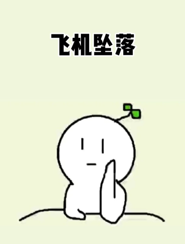 假如你乘坐的飞机即将从万米高空坠落