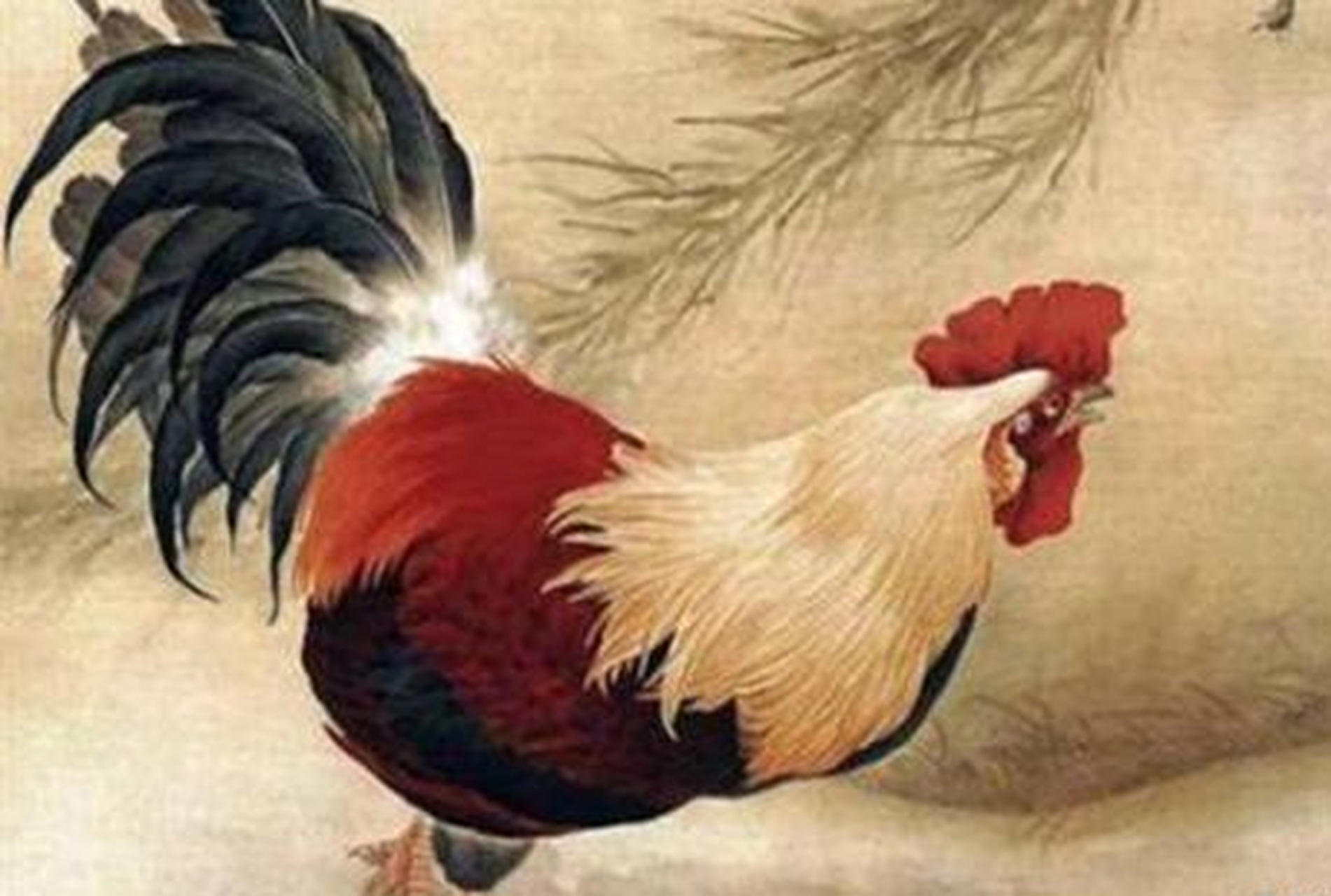 生肖鸡3月鼠的运势(生肖鸡3月鼠的运势如何)