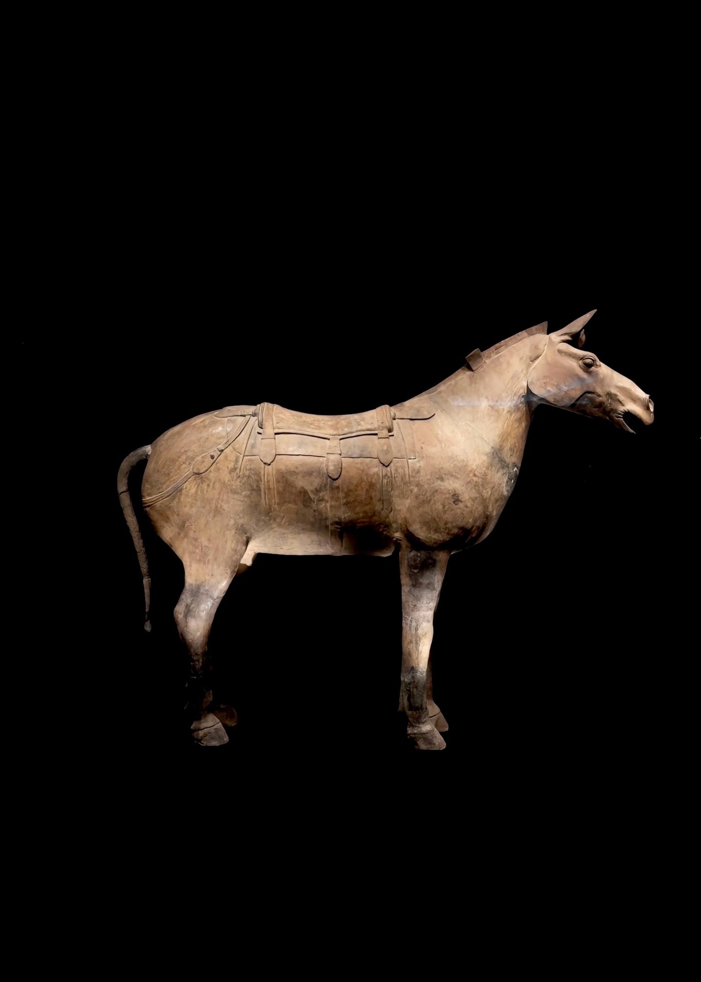 探访陕西历史博物馆秦汉分馆